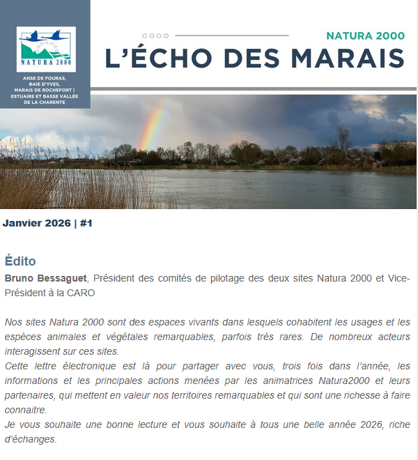 NewsLetter-fevrier 2026