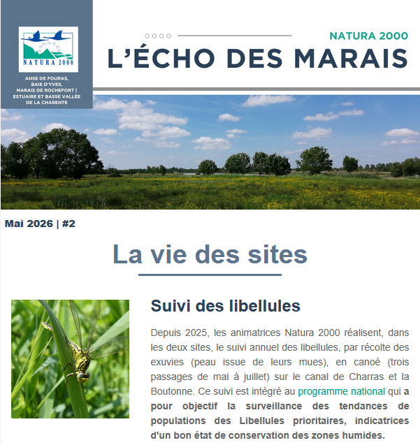 NewsLetter-mai 2026